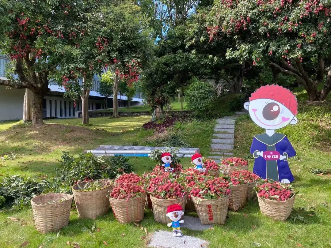 又见荔枝红 | MK网页版登录入口2020官方毕业歌曲MV来了！