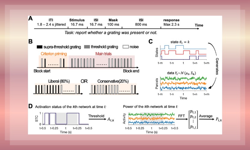 心理学院助理教授周莹在《PLOS Biology》上发表研究成果