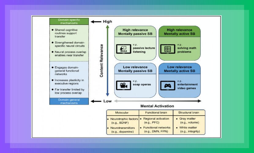 心理学院邹立业教授团队发表神经生物学分类框架下久坐行为与脑健康研究